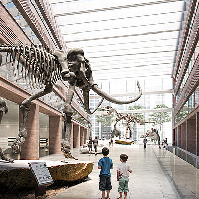 Zwei Kinder stehen in einem Museum und betrachten beeindruckende Dinosaurierskelette, die im Raum ausgestellt sind. Das Licht strömt durch eine große Glasdecke und hebt die architektonische Gestaltung des Innenraums hervor.